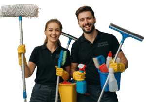 Natural cleaning solutions sydney for Solar Panel Cleaning