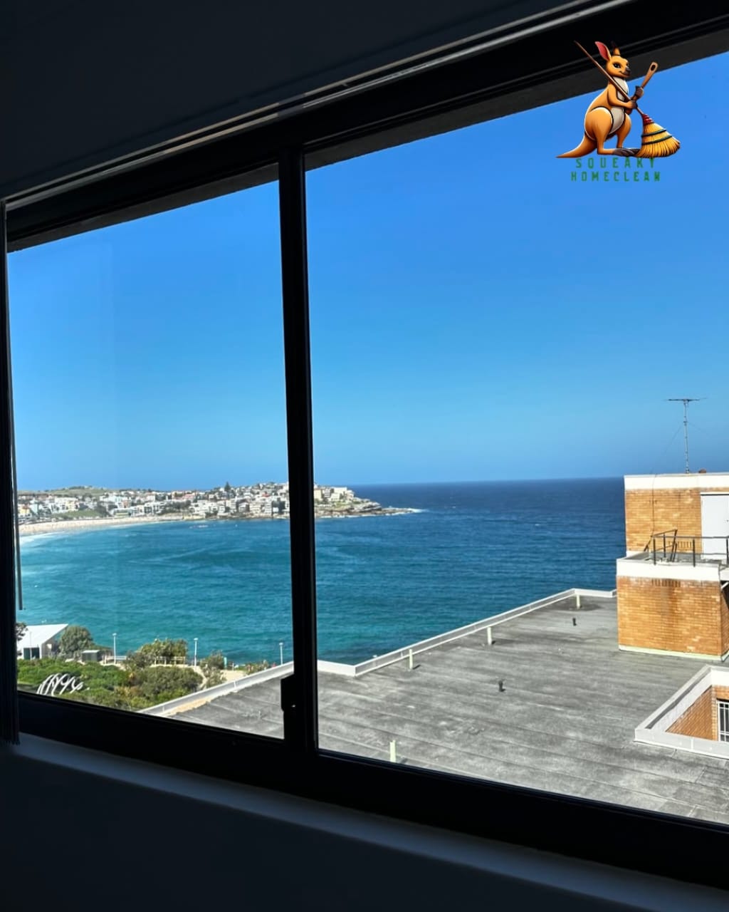 WhatsApp Image 2025-11-20 at 11.45.47 PM