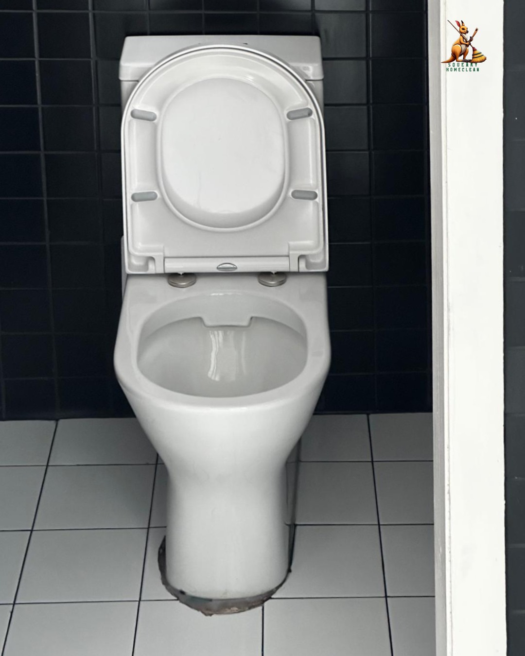 WhatsApp Image 2025-11-20 at 11.49.27 PM (2)