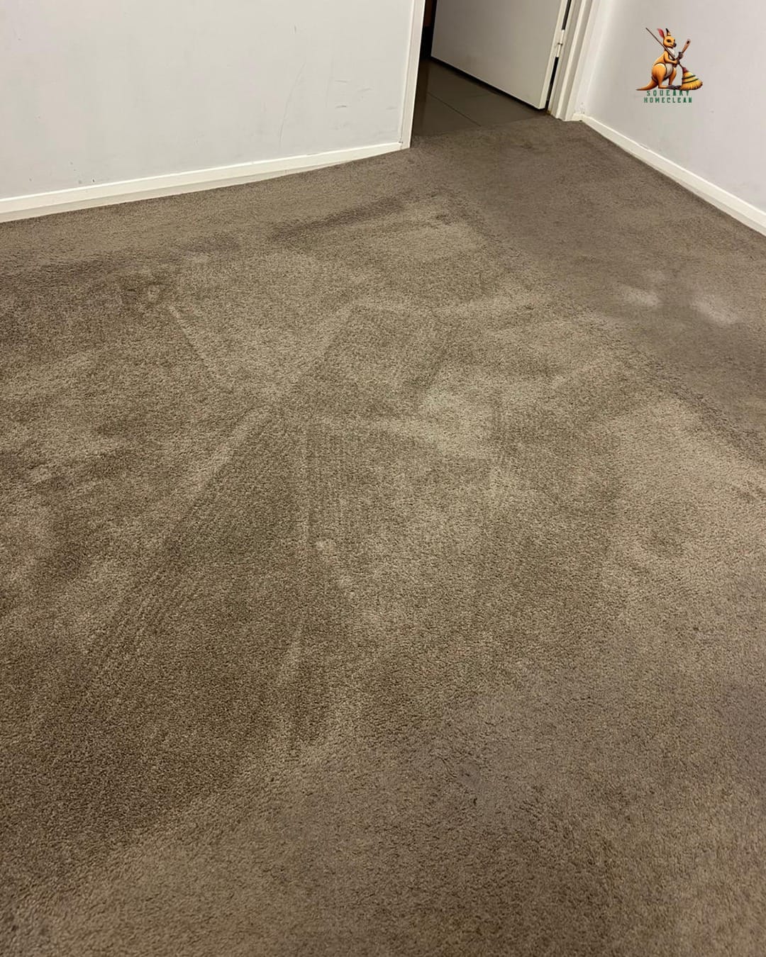 WhatsApp Image 2025-11-20 at 11.59.23 PM