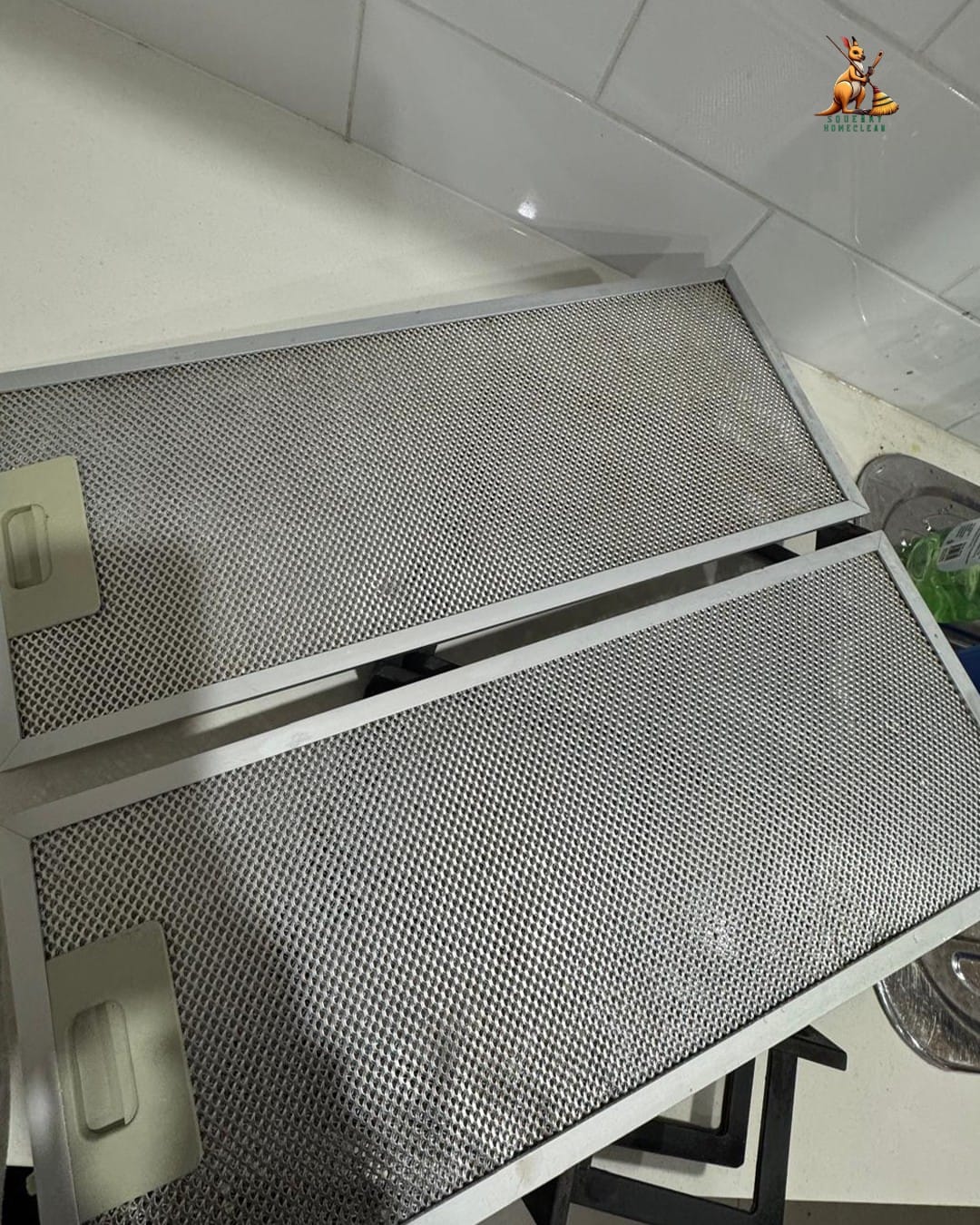 WhatsApp Image 2025-11-20 at 11.59.24 PM